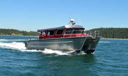 Lumacat Cruiser - ACI Boats