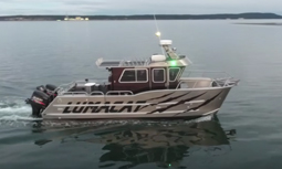 Lumacat Sport 28 - ACI Boats